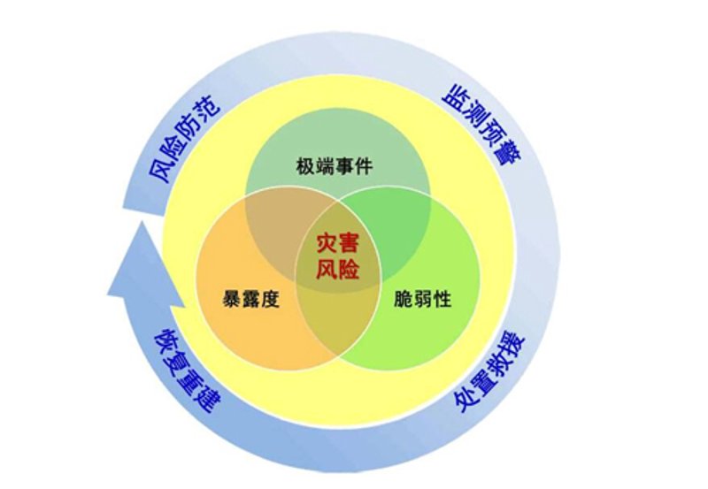 保险经纪人：塑造你的财务未来